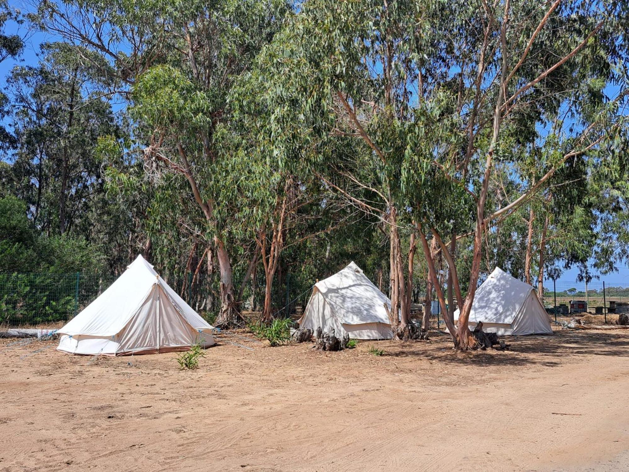 Premium Tent